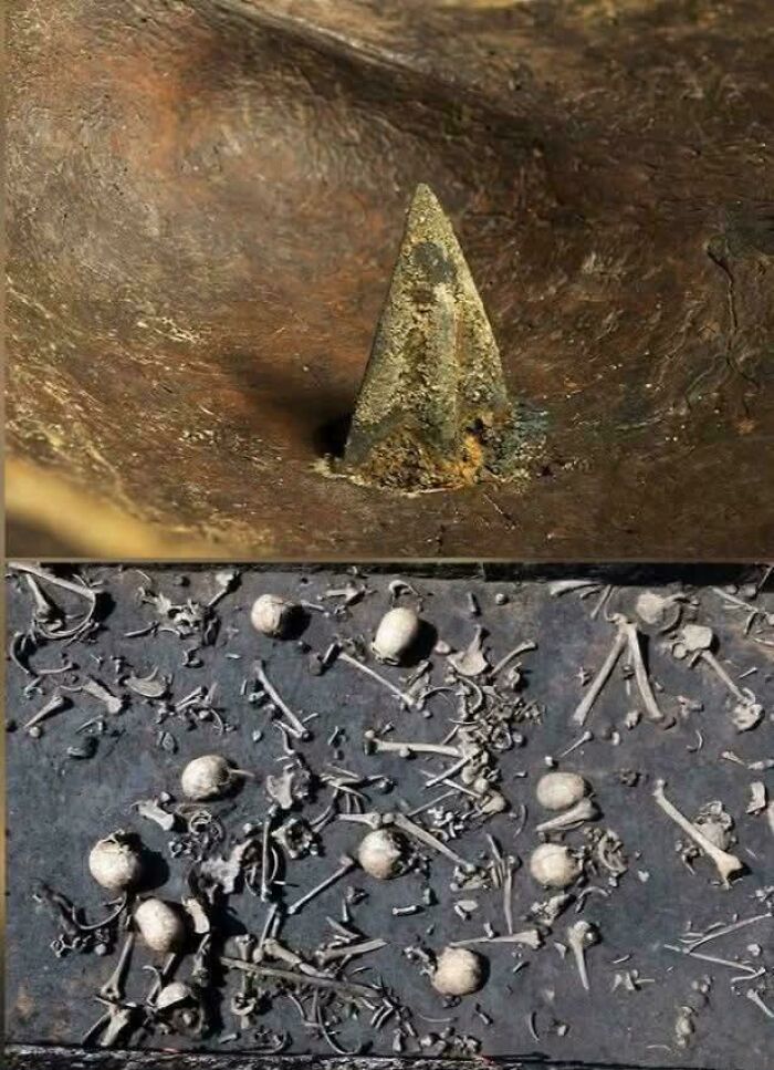 Wait, These Weird Earth Things Actually Exist?!