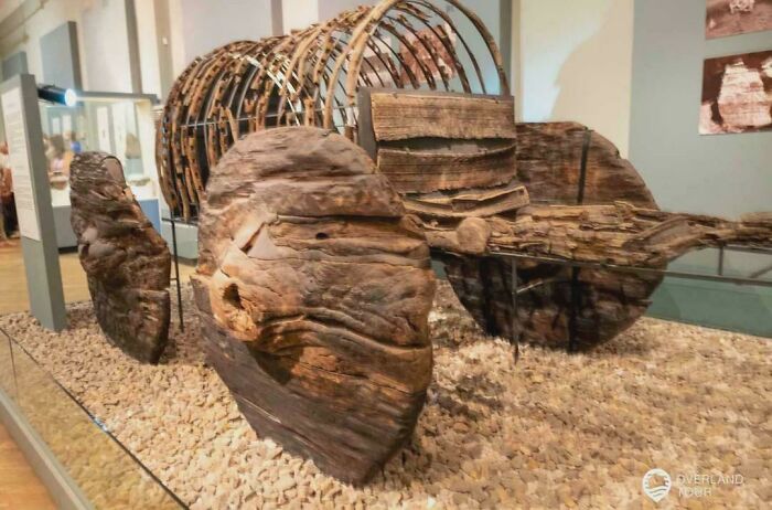 Wait, These Weird Earth Things Actually Exist?!
