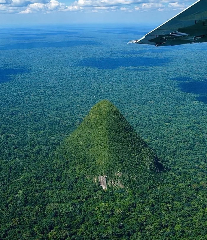 Wait, These Weird Earth Things Actually Exist?!