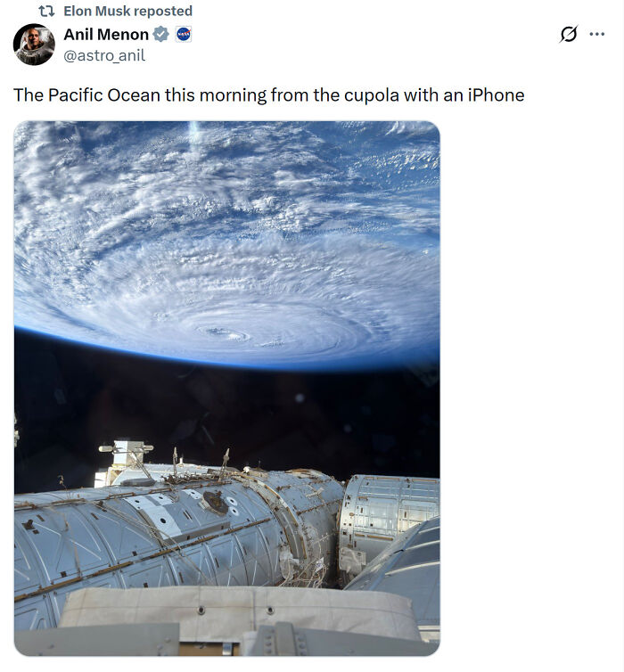 Wait, These Weird Earth Things Actually Exist?!