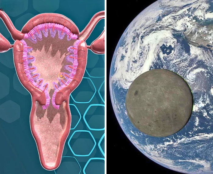 Wait, These Weird Earth Things Actually Exist?!