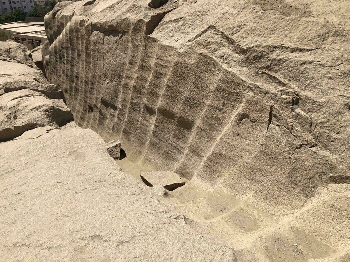 Wait, These Weird Earth Things Actually Exist?!