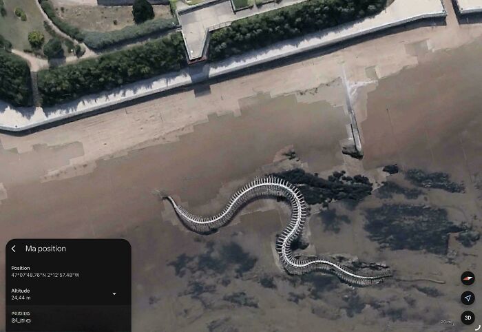 Wait, These Weird Earth Things Actually Exist?!
