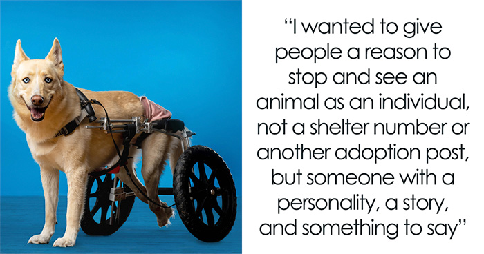 Meet The Animals Who Spilled Their Secrets To Get Adopted (Yes, Really!)