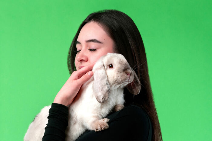 Avalanche the Rabbit: Chill Vibes Only, Please