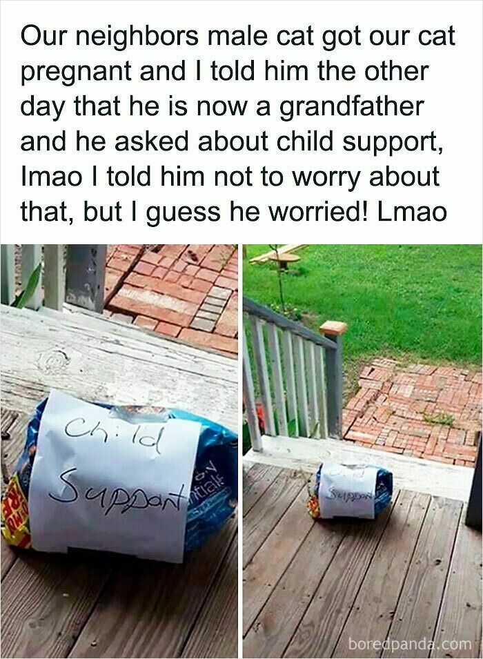 Wait, They Actually Caught These Adorable Moments?! 63 Oddly Sweet Pics to Melt Your Heart