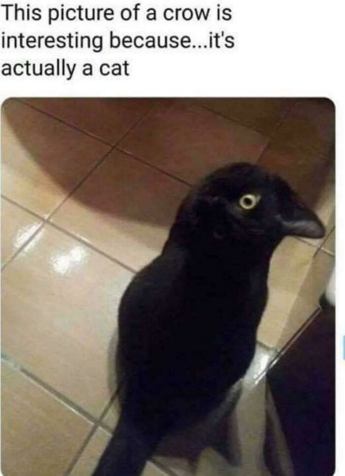 See Subreddit Name For The Full Story