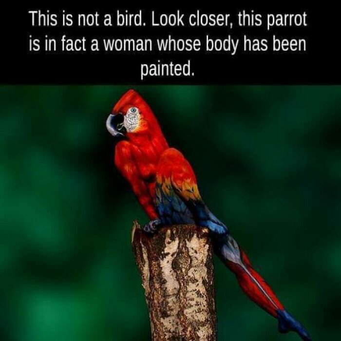 Had To Stare At This For A While, Stunning!