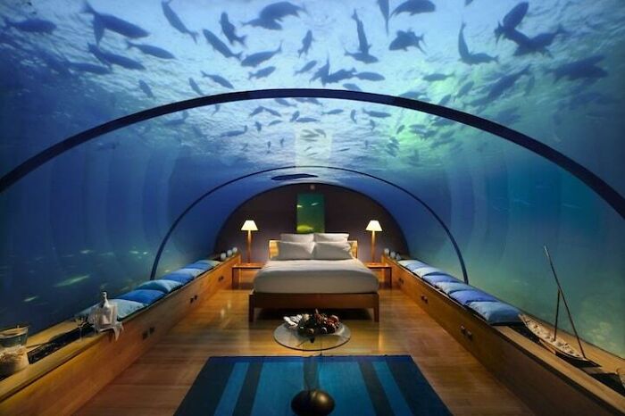 Underwater Hotel Room In The Maldives: Dream Stay