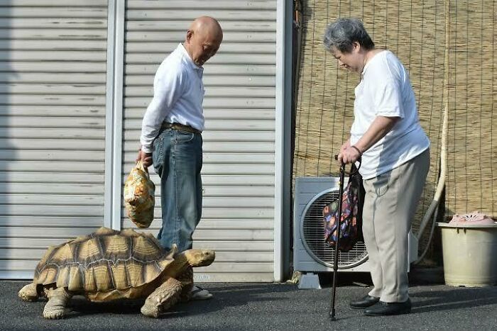World's Most Patient Pet Owner Spotted!