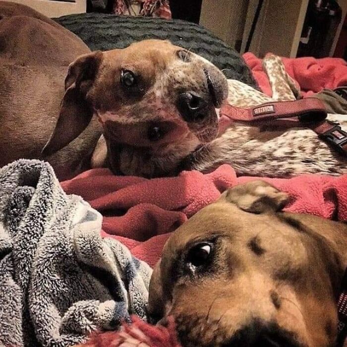This Took Me 5 Minutes To Figure Out What I’m Seeing