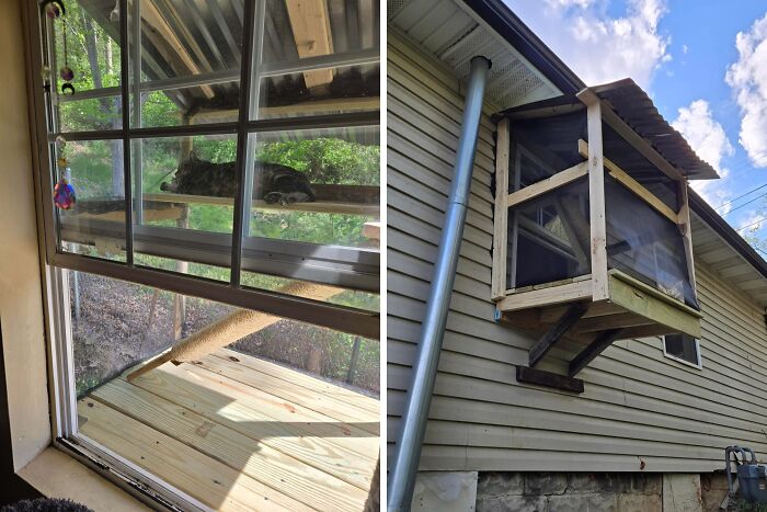 Built a Window Box Without Measuring... And the Cat Loves It!