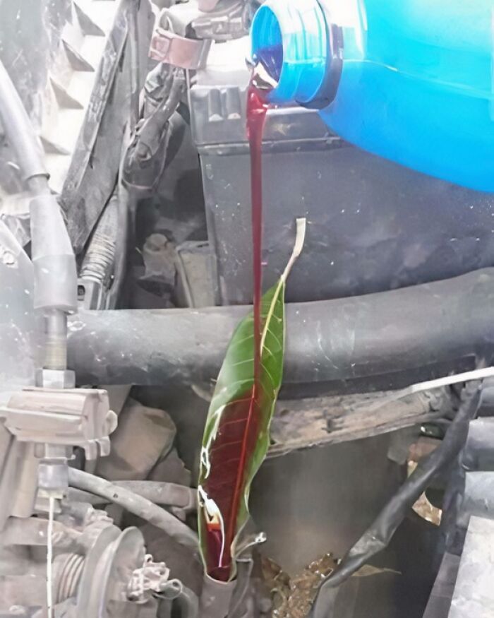 Wait, They Actually Made These Crazy DIY Fixes Work?!