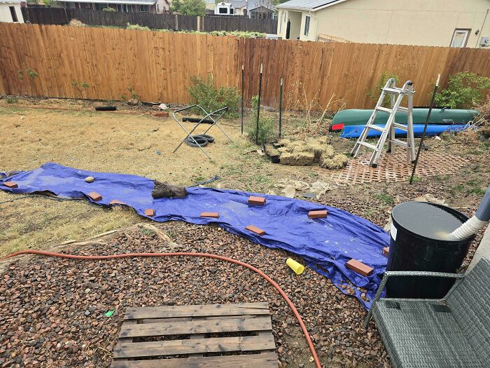 Wait, They Actually Made These Crazy DIY Fixes Work?!