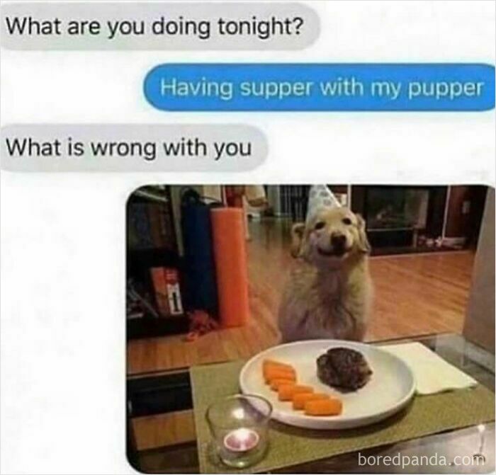 Dinner Date With the Goodest Boy