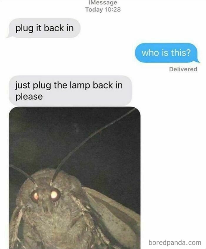 Please, Just Plug It Back In