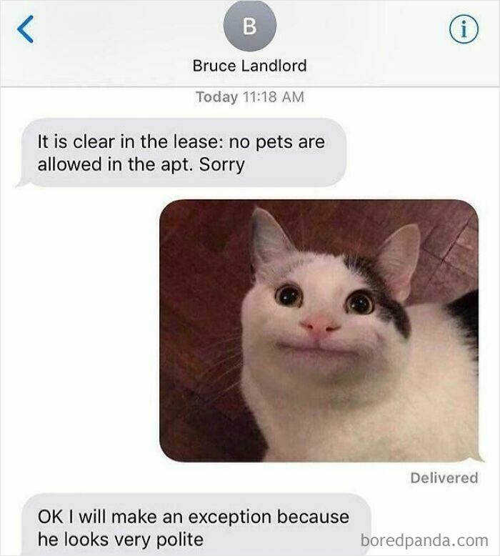 Bruce, The Man!