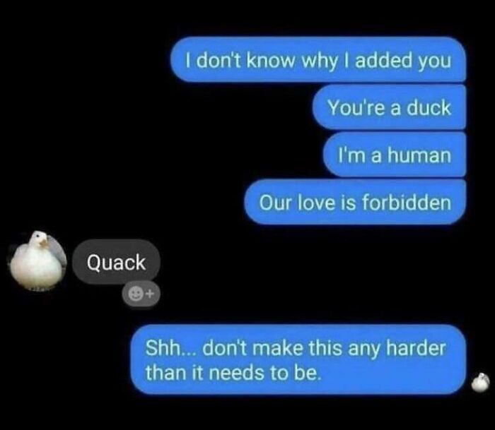 Quack!