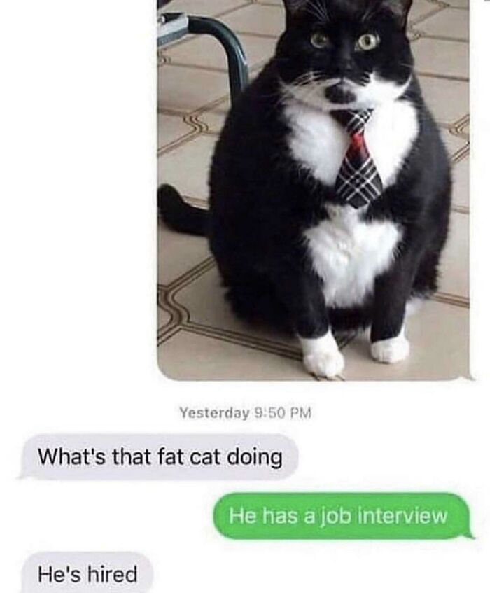 He's Got the Job!
