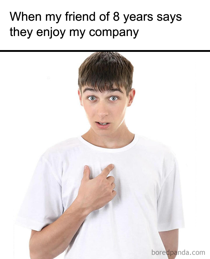 Wait, They Actually Ranked These Memes?!