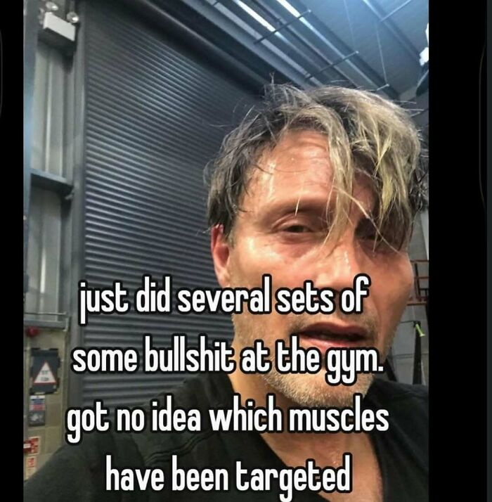 Wait, They Actually Ranked These Memes?!