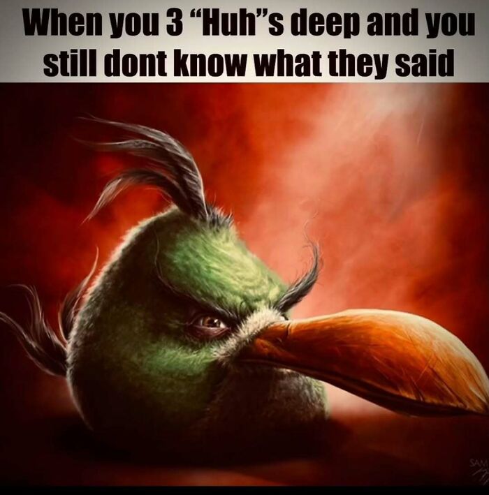 Wait, They Actually Ranked These Memes?!