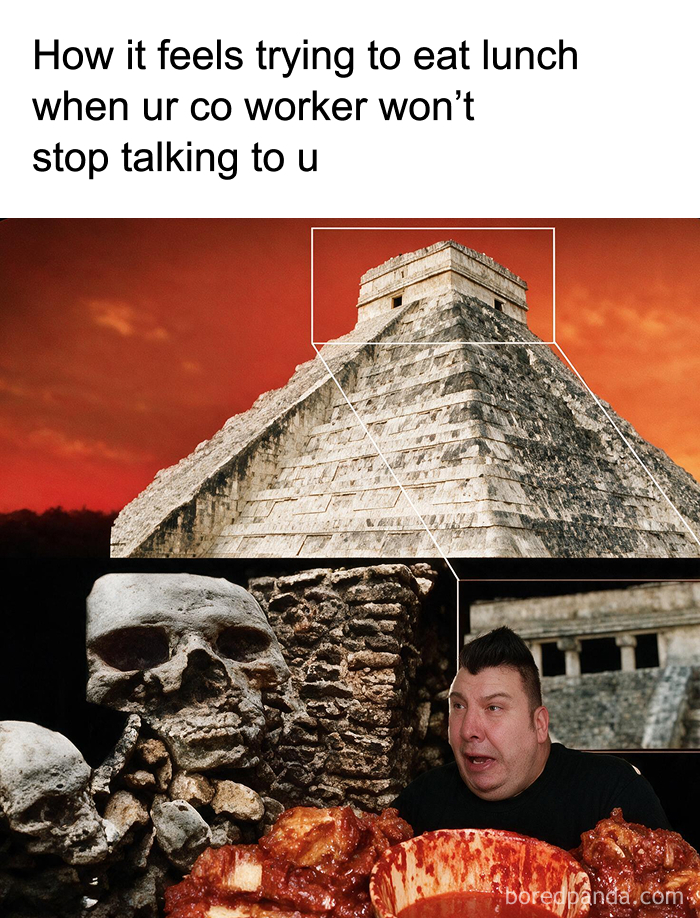 Wait, They Actually Ranked These Memes?!