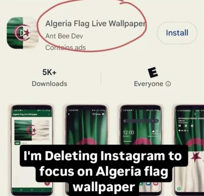 Wait, They Actually Ranked These Memes?!
