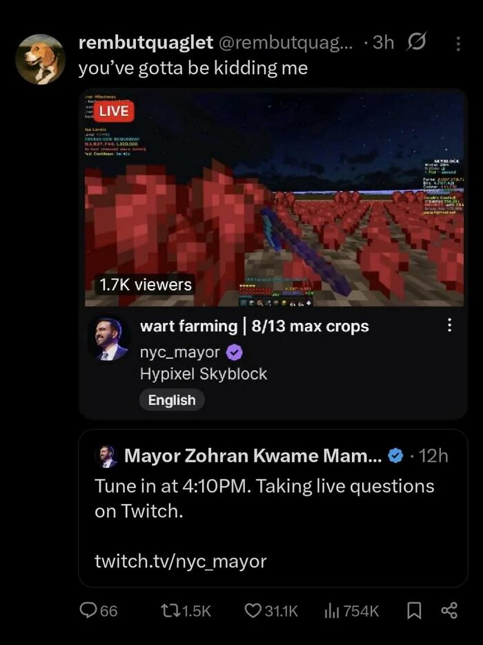 Wait, They Actually Ranked These Memes?!