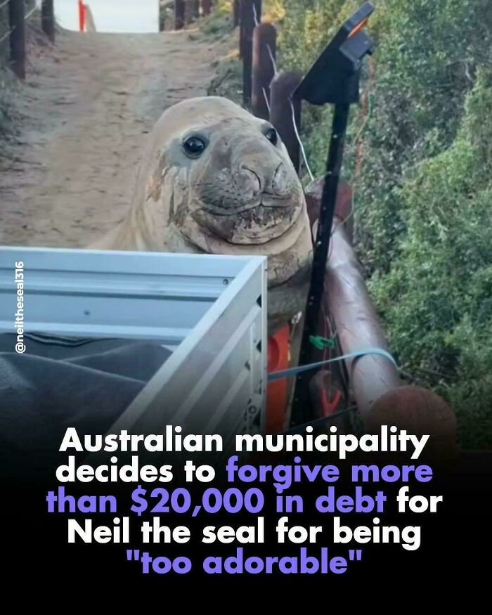 This Definitely Gets My Seal of Approval
