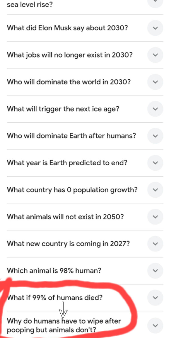 Google Thought This Was Just as Important as Everything Else?