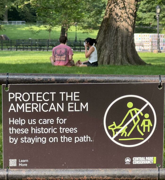 Just Another Day In Central Park With The Main Character Energy Flowing