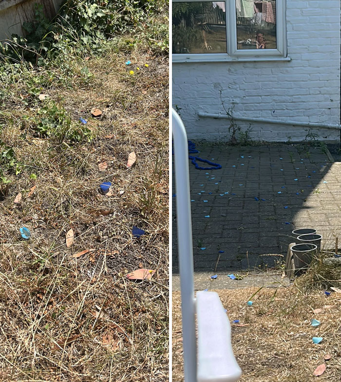 Neighbours’ Gender Reveal Covered My Garden In Blue Plastic
