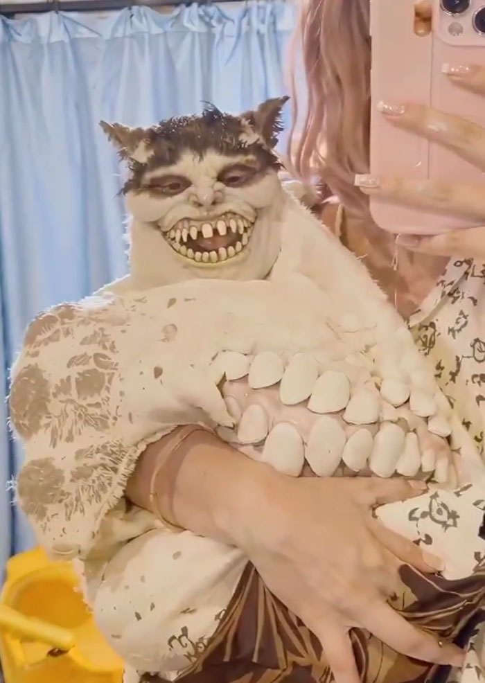 Wait, AI Actually Made These Weird Masterpieces?