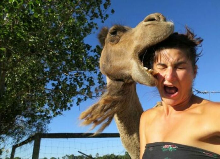 Now That’s What I Call a Photobomb!