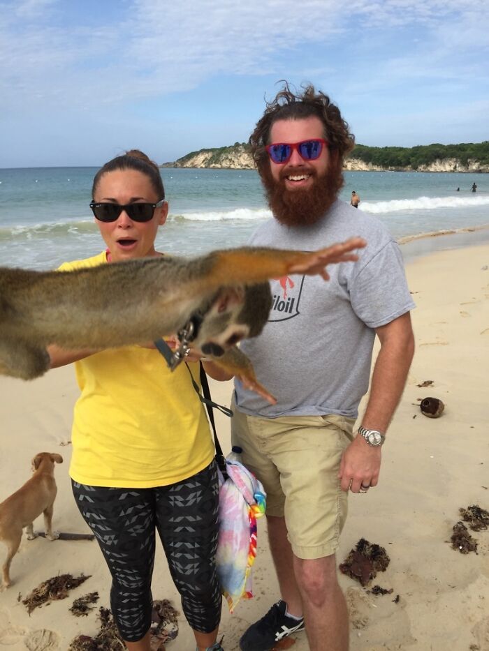 Photobombed by a Spider Monkey in the Dominican Republic!