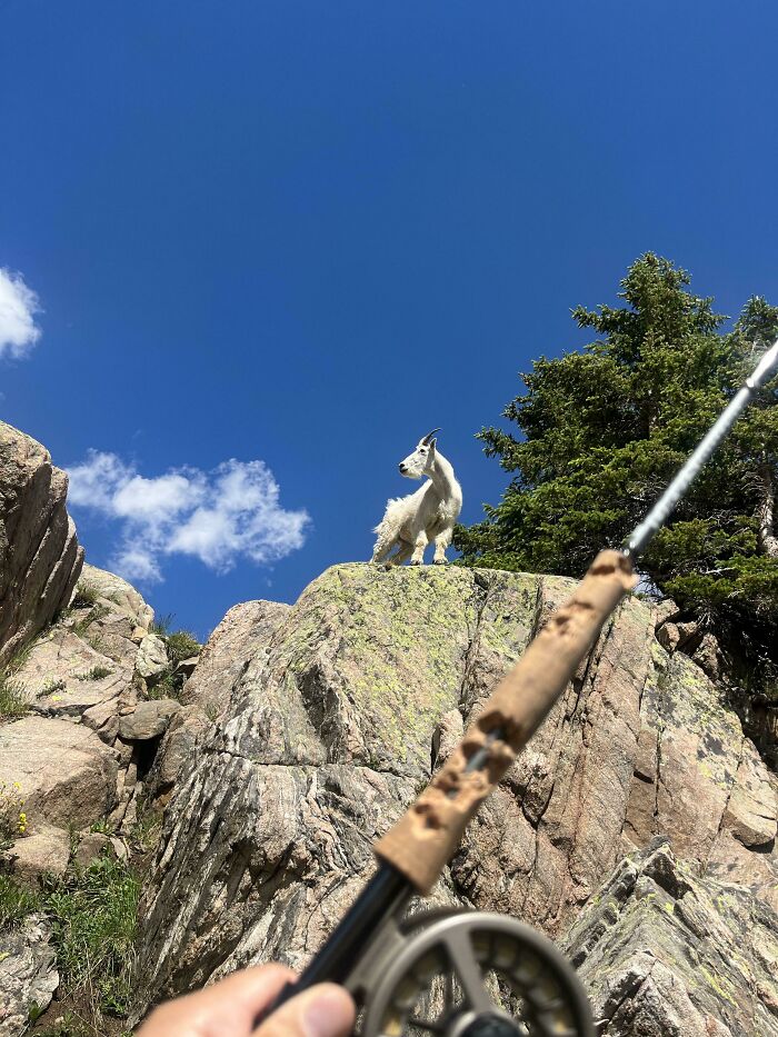 3,000 Feet Up to a Lake Where a Mountain Goat Ate My Fly Rod