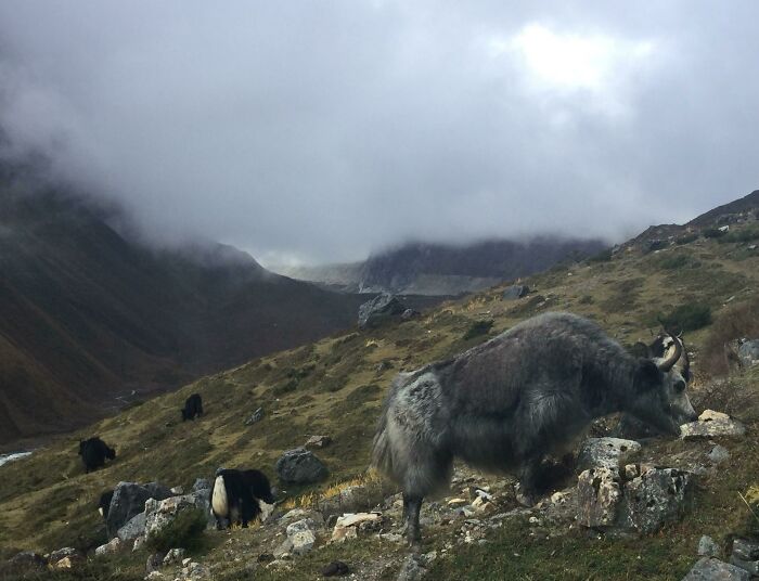 Three Week Trek Around Mt. Manaslu—Only a Peek of the Mountain Through Clouds