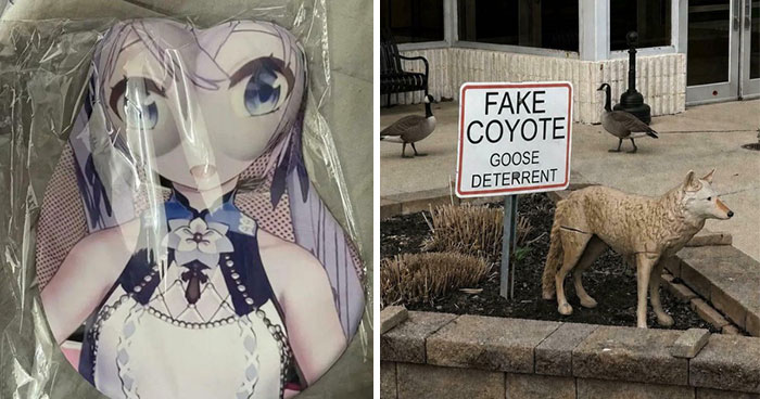 Wait, They Actually Messed Up This Bad? 81 Times People Had ONE Job and Totally Blew It
