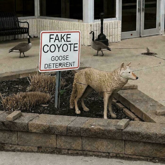 Um... Who’s This Sign For?