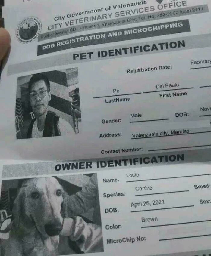 I Lost My Human, Sir!
