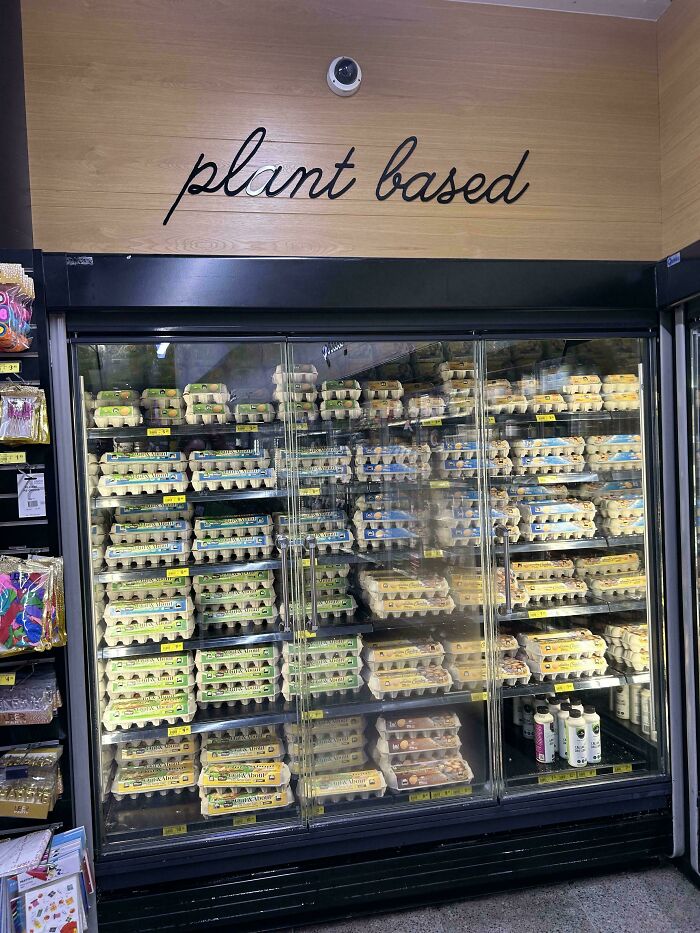 My Sister Found This While Out and About Today