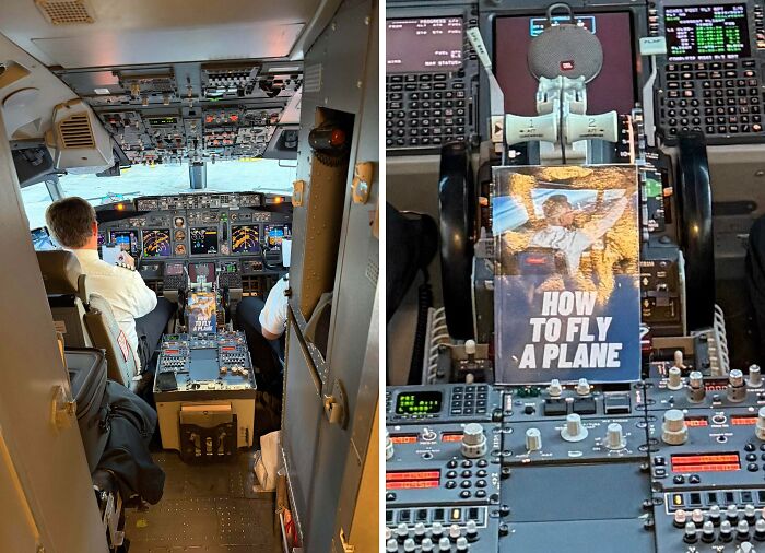 Let's Dive Into 50 Pics That Are Just Kinda Funny, You Know?