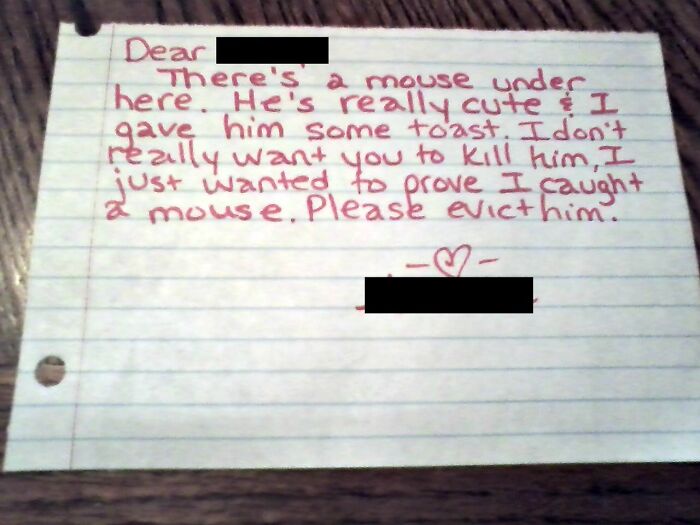 Let's Dive Into 50 Pics That Are Just Kinda Funny, You Know?