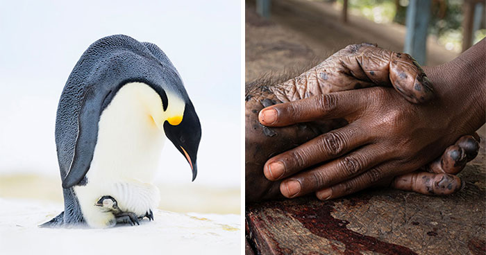 Get Ready To Be Wowed By These Nature Snaps From All Over The World!