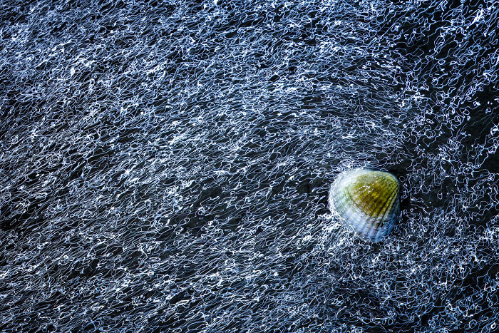 Waves, Tides & Fun – Wadden Sea Wonders by Martin Stock