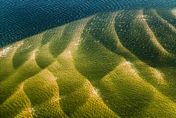 Waves, Tides & Fun – Wadden Sea Wonders by Martin Stock