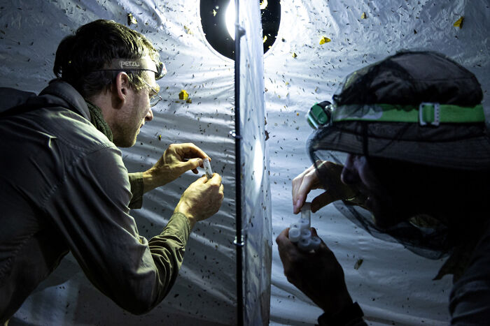 Forest Friends – Inside Long-Term Conservation by Michiel Van Noppen