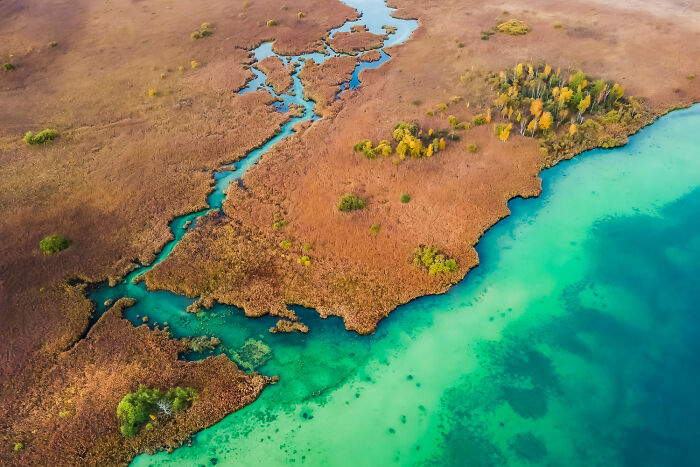 Bavaria’s Peatland Party! by Niklas Banowski & Christopher Meyer