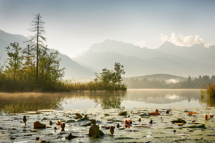 Bavaria’s Peatland Party! by Niklas Banowski & Christopher Meyer